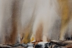 IMG_20191110_131417-pt